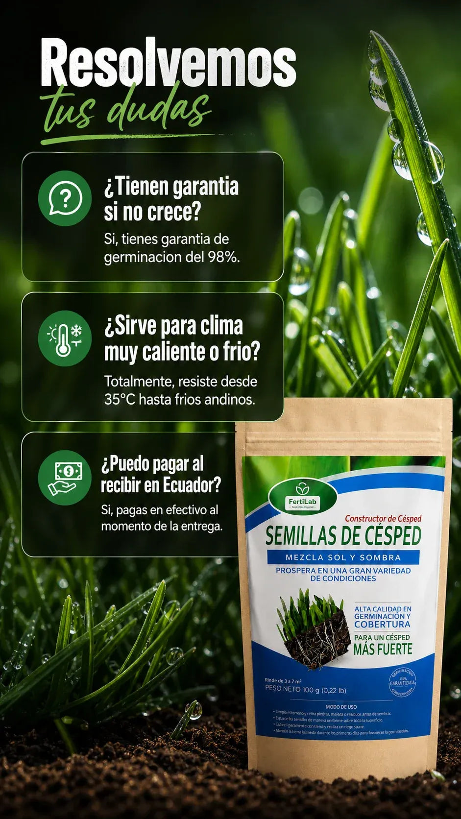 GREENFUSION - 2x1 SEMILLAS DE CESPED CON FORMULA DE GERMINACION RAPIDA DALE NUEVA VIDA A TU HOGAR
